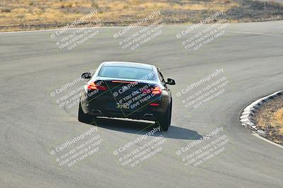 media/Feb-01-2025-Turn8 Trackdays (Sat) [[5681b0f63a]]/Inter 2/Session 1 (Turns 4b and 5)/